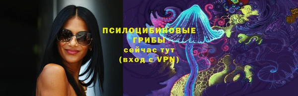 скорость Алексин
