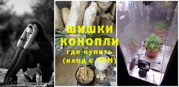 трава Нязепетровск