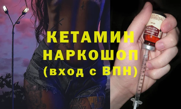 индика Няндома