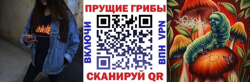 Псилоцибиновые грибы ЛСД  Поронайск 